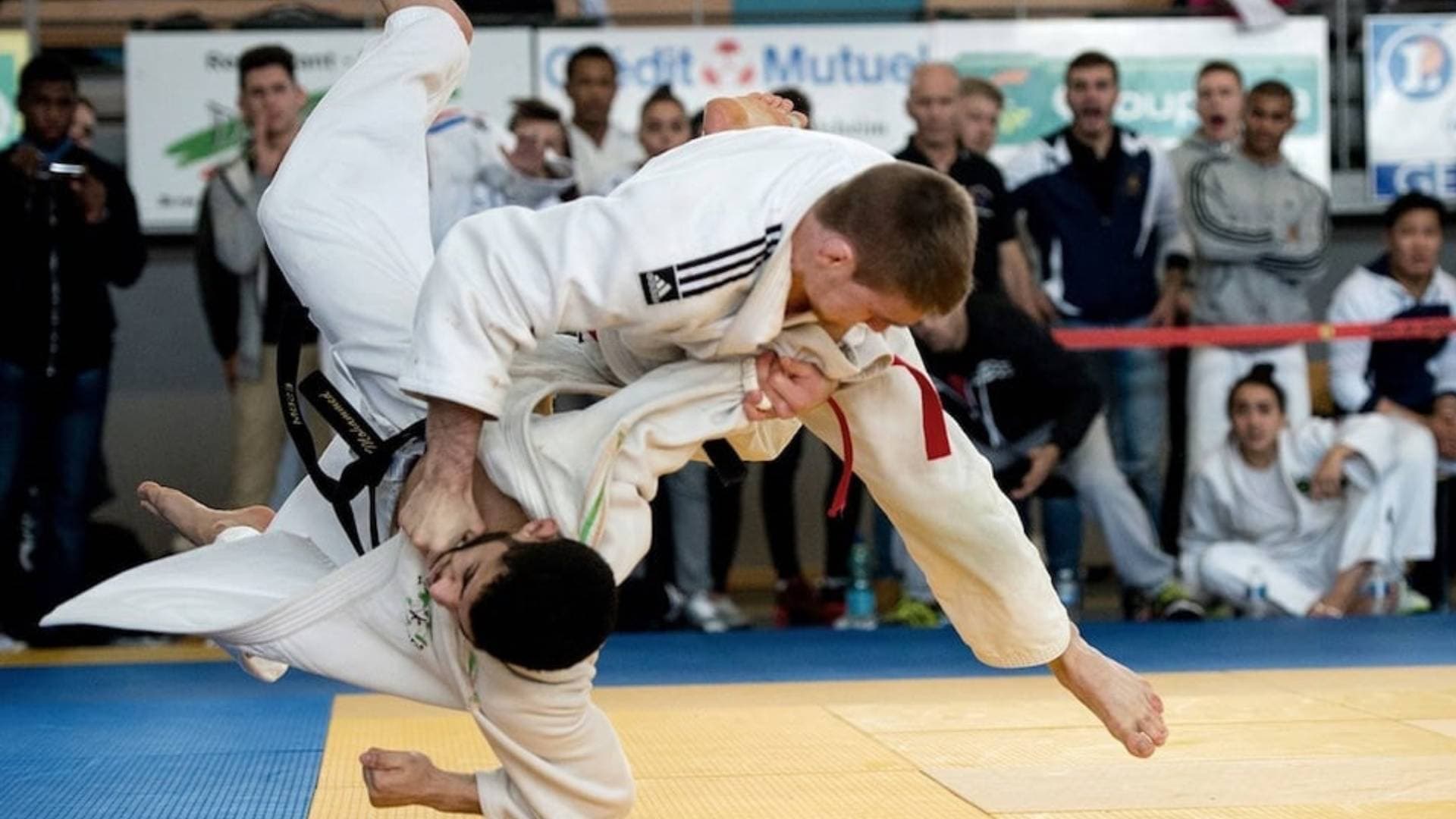 Exterior or interior of Alliance Judo Jiu-Jitsu