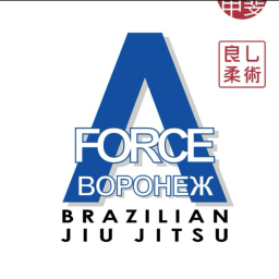 Exterior or interior of A-FORCE BJJ RUSSIA
