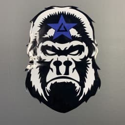 Bluestarr Grappling - Jiujitsu and Judo logo