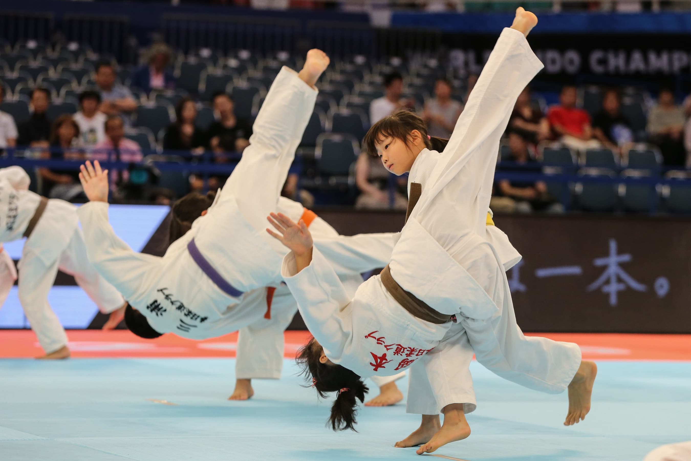 Exterior or interior of Bronx Judo and Martial Arts