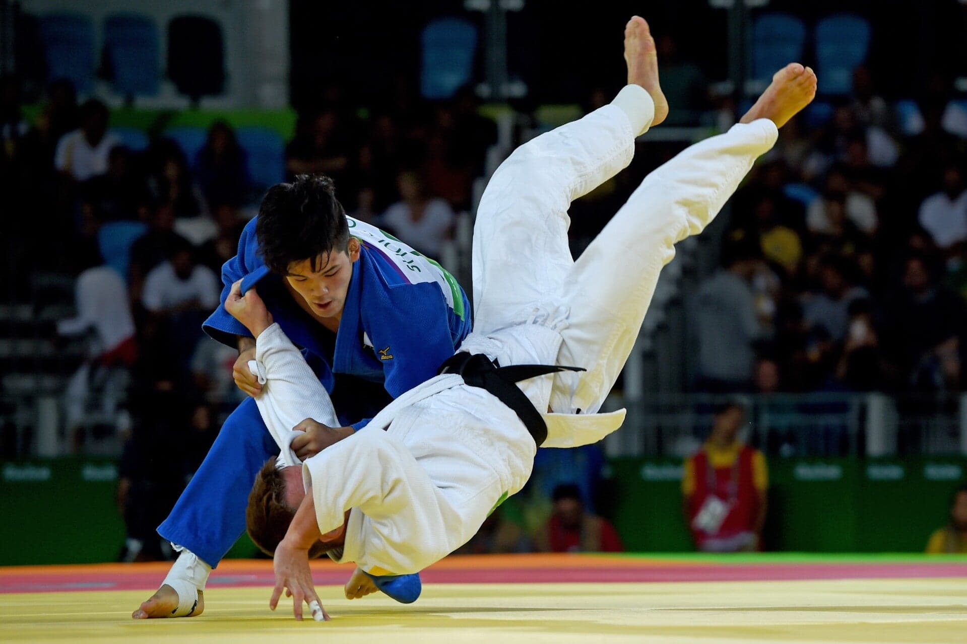 Exterior or interior of Centro judo bra