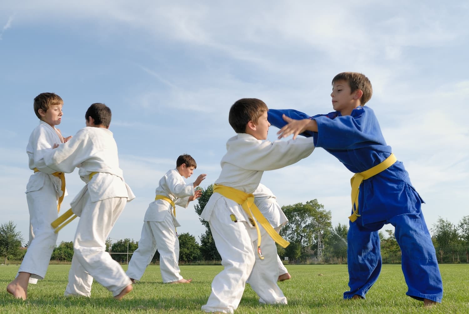 Exterior or interior of De Bijl & Gross Judo