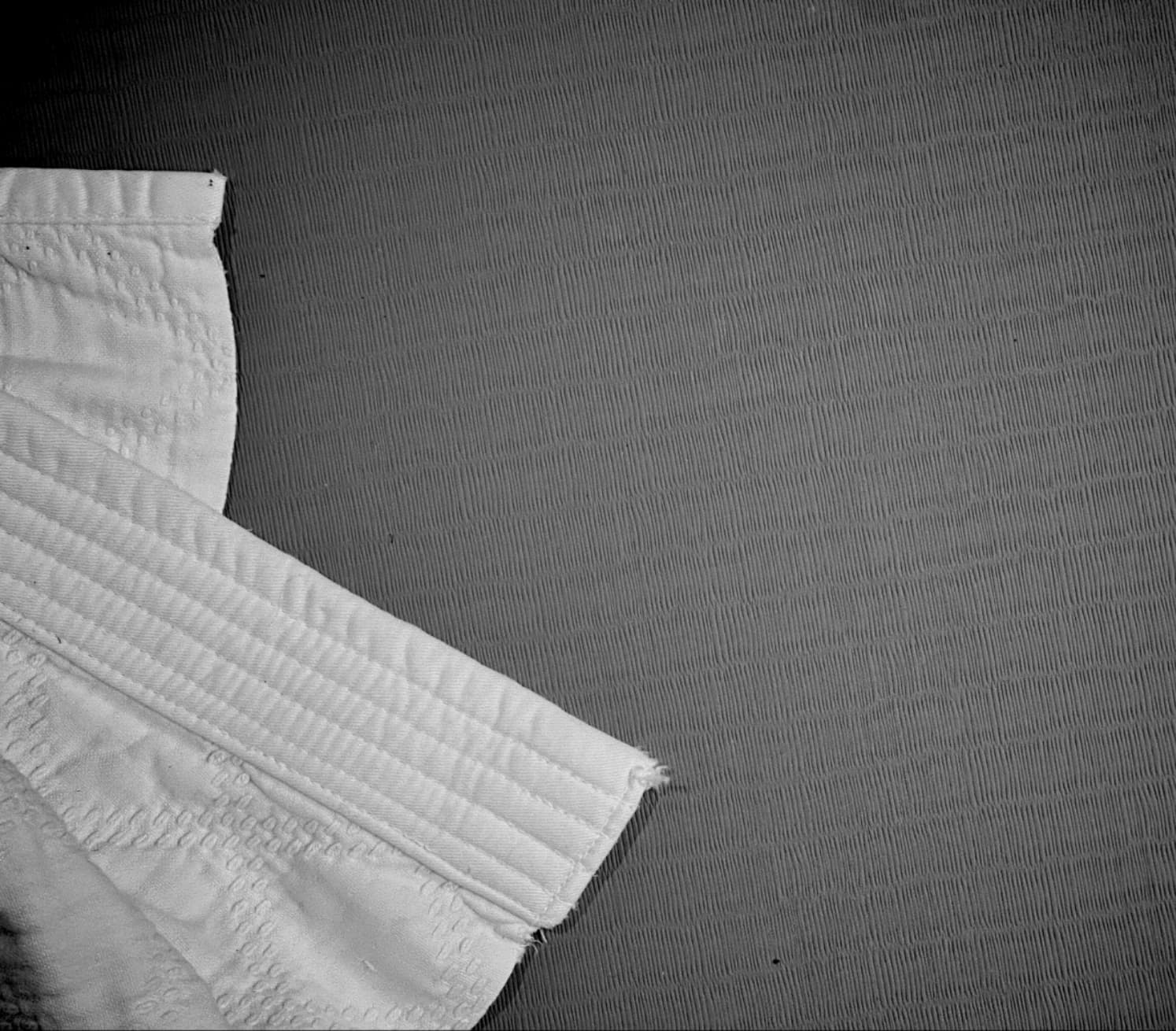 Etobicoke Judo Club logo