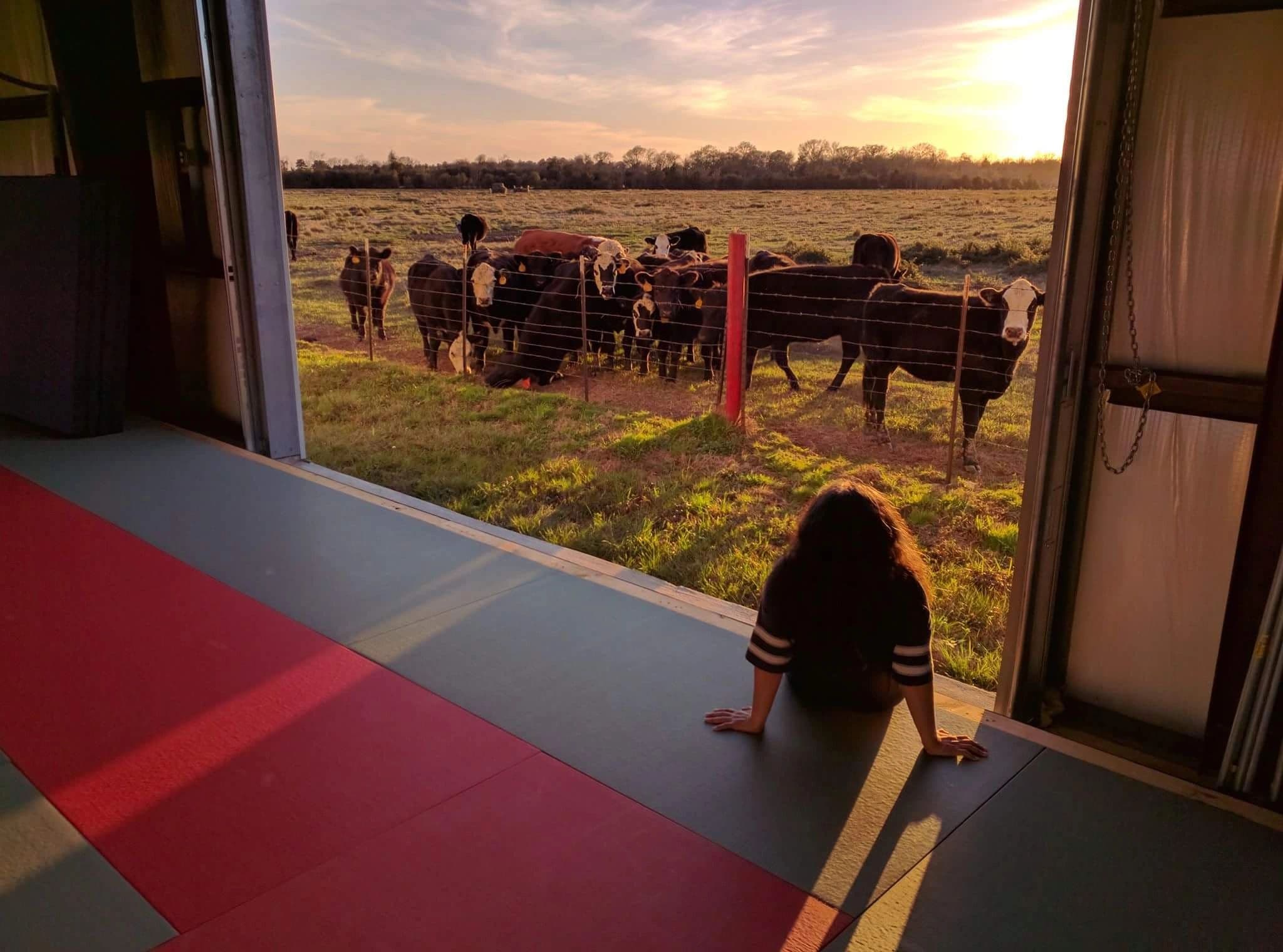 Exterior or interior of Honor Martial Arts - Houston Brazilian Jiu-Jitsu, Judo, Karate and Yoga.