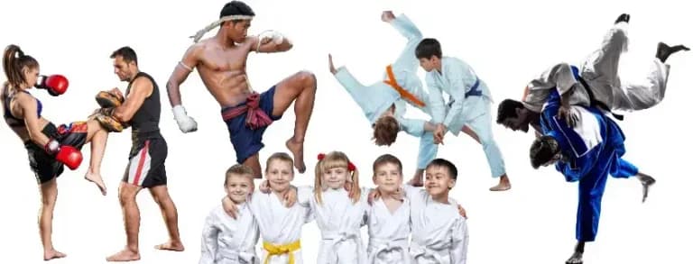 Exterior or interior of IJC Martial Arts | Judo & Muay Thai