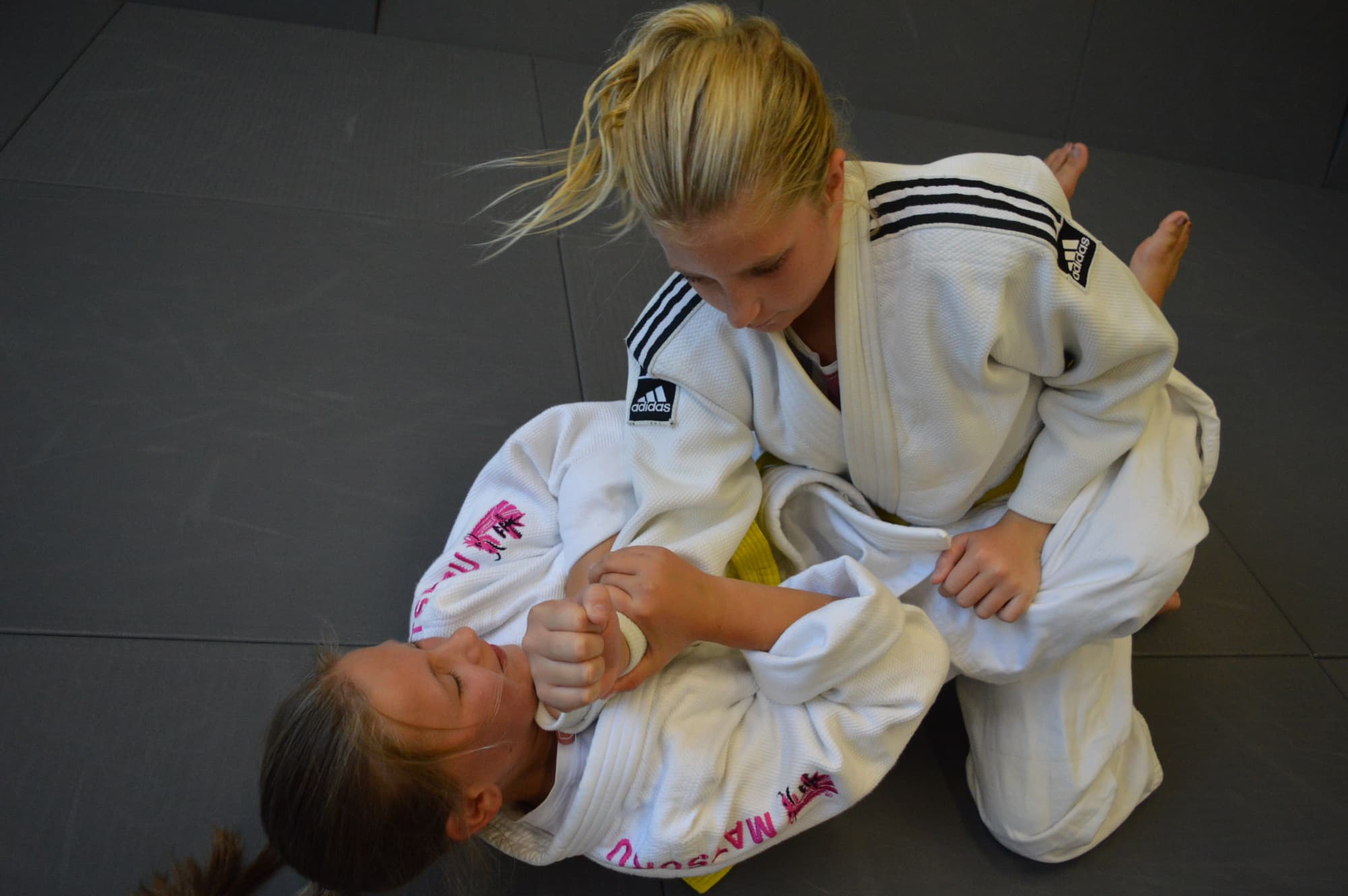 Exterior or interior of Judo Grootegast