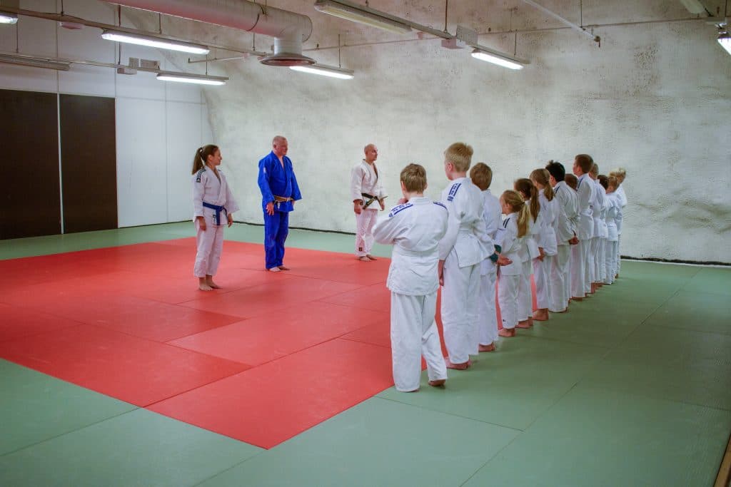 Judo-Kan Ry logo