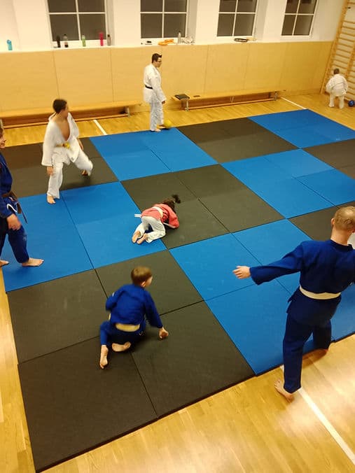Exterior or interior of Judo Römerland Fighters