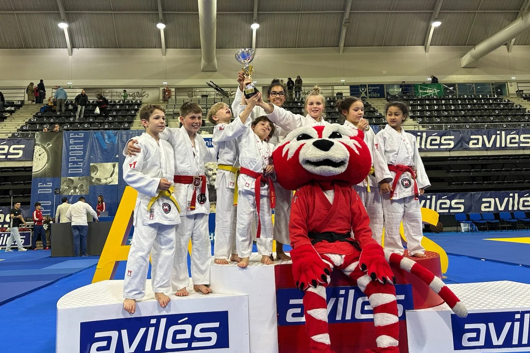 Mike's Judo Club logo