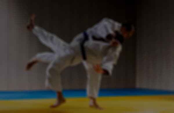 Redframe Judo logo