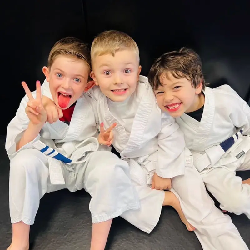 Exterior or interior of Royce Gracie Academy of Macomb- Jiu Jitsu and Self Defense