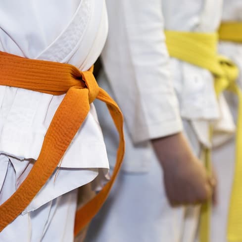 Exterior or interior of Royce Gracie Portugal - Alentejo