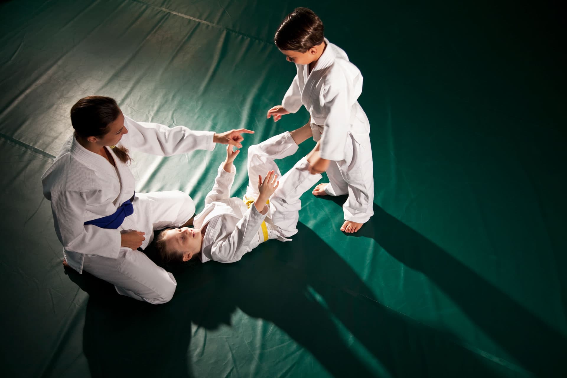 Exterior or interior of TV 1883 e.V. Hattersheim Judo
