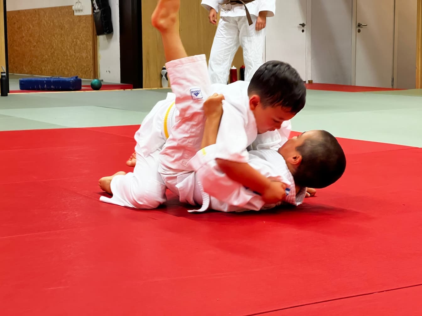 Exterior or interior of Uddevalla Judo